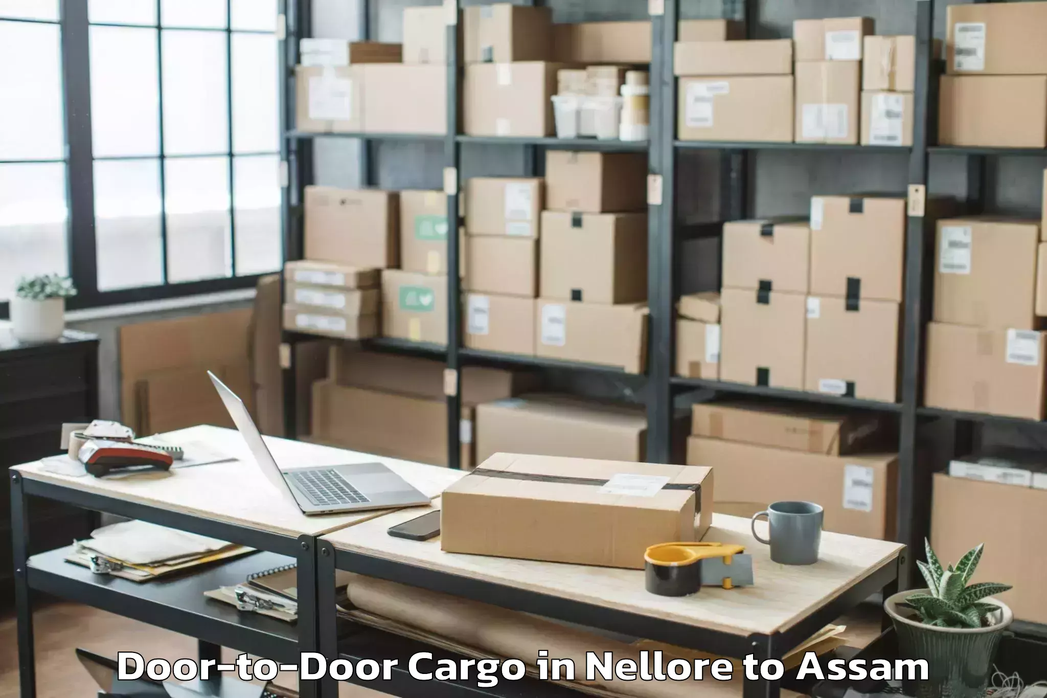 Easy Nellore to Iit Guwahati Door To Door Cargo Booking